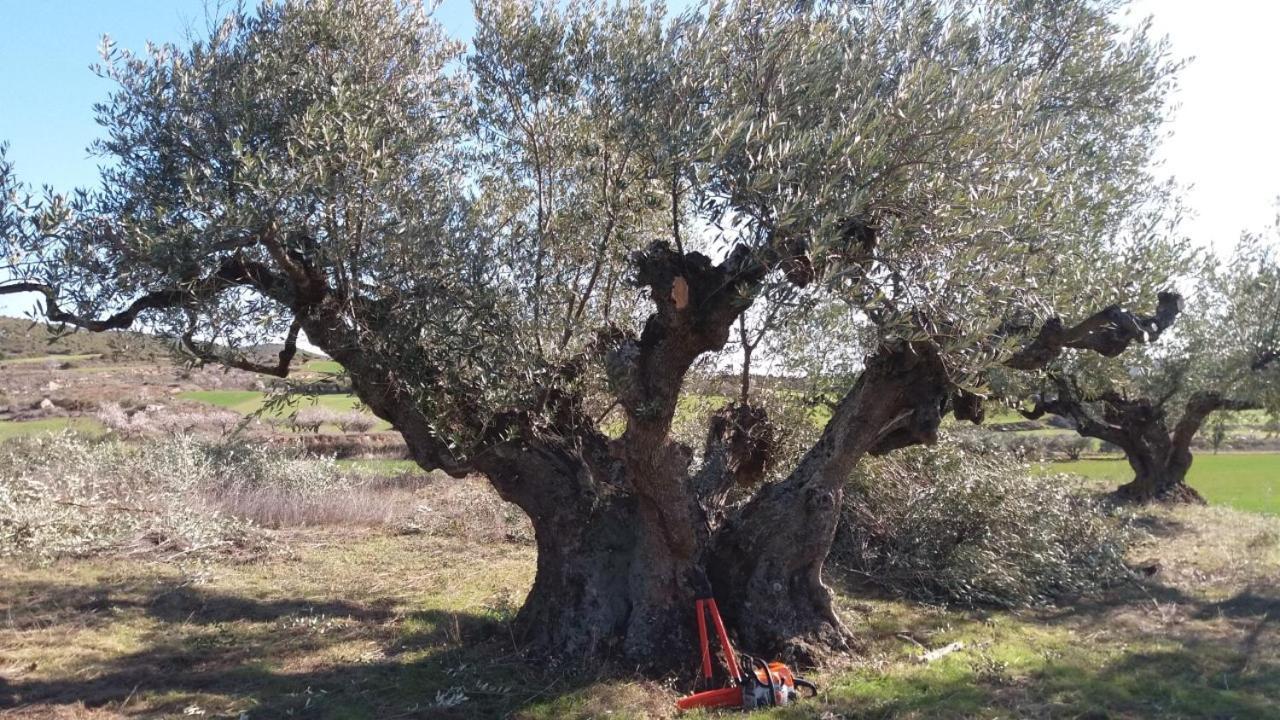 Casa Rural 643Km Villatuerta Kültér fotó